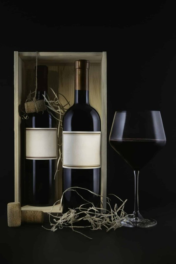 Cours œnologie : ce qu'il faut savoir avant de vous y inscrire